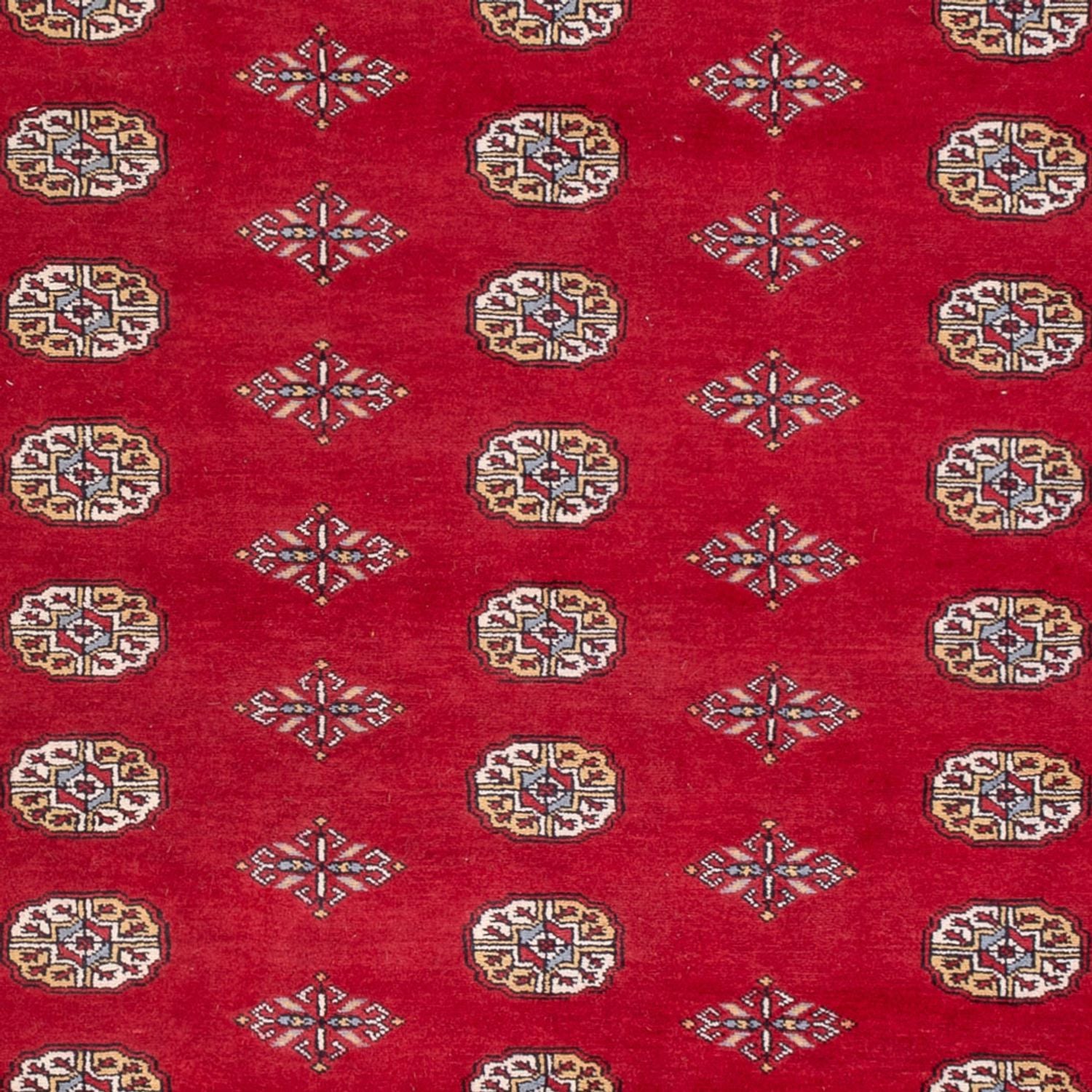Afghansk tæppe - Bukhara - 307 x 201 cm - rød