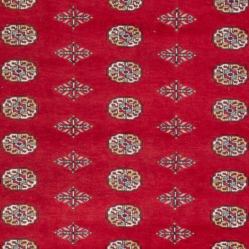 Afghansk tæppe - Bukhara - 307 x 201 cm - rød
