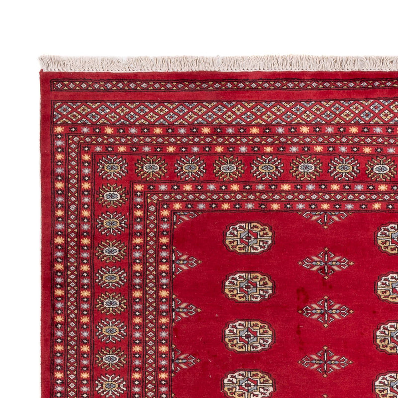 Afghansk tæppe - Bukhara - 307 x 201 cm - rød