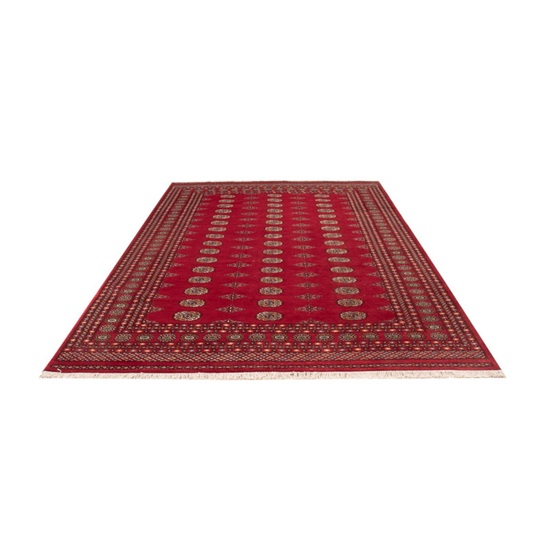 Afghansk tæppe - Bukhara - 307 x 201 cm - rød