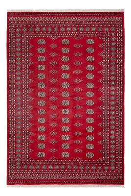 Afghansk tæppe - Bukhara - 300 x 201 cm - rød