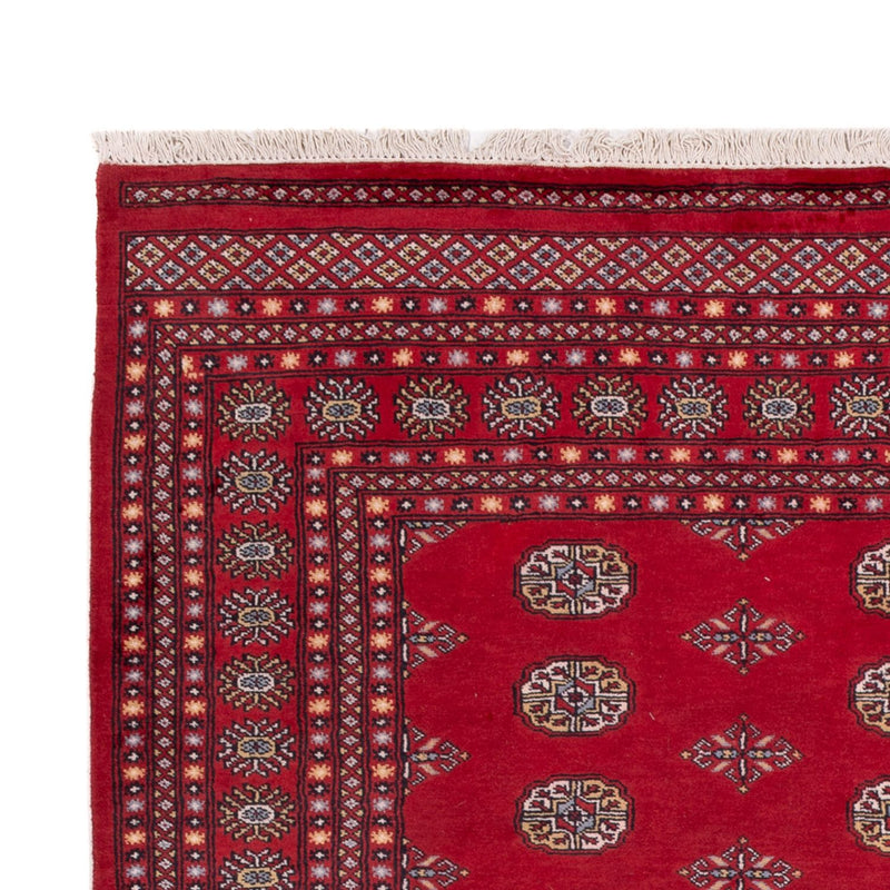 Afghansk tæppe - Bukhara - 300 x 201 cm - rød