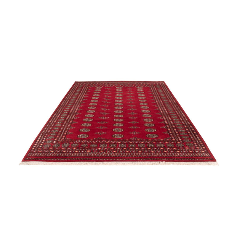 Afghansk tæppe - Bukhara - 300 x 201 cm - rød