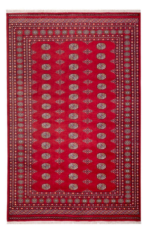 Afghansk tæppe - Bukhara - 316 x 203 cm - rød