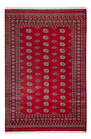 Afghansk tæppe - Bukhara - 294 x 198 cm - rød
