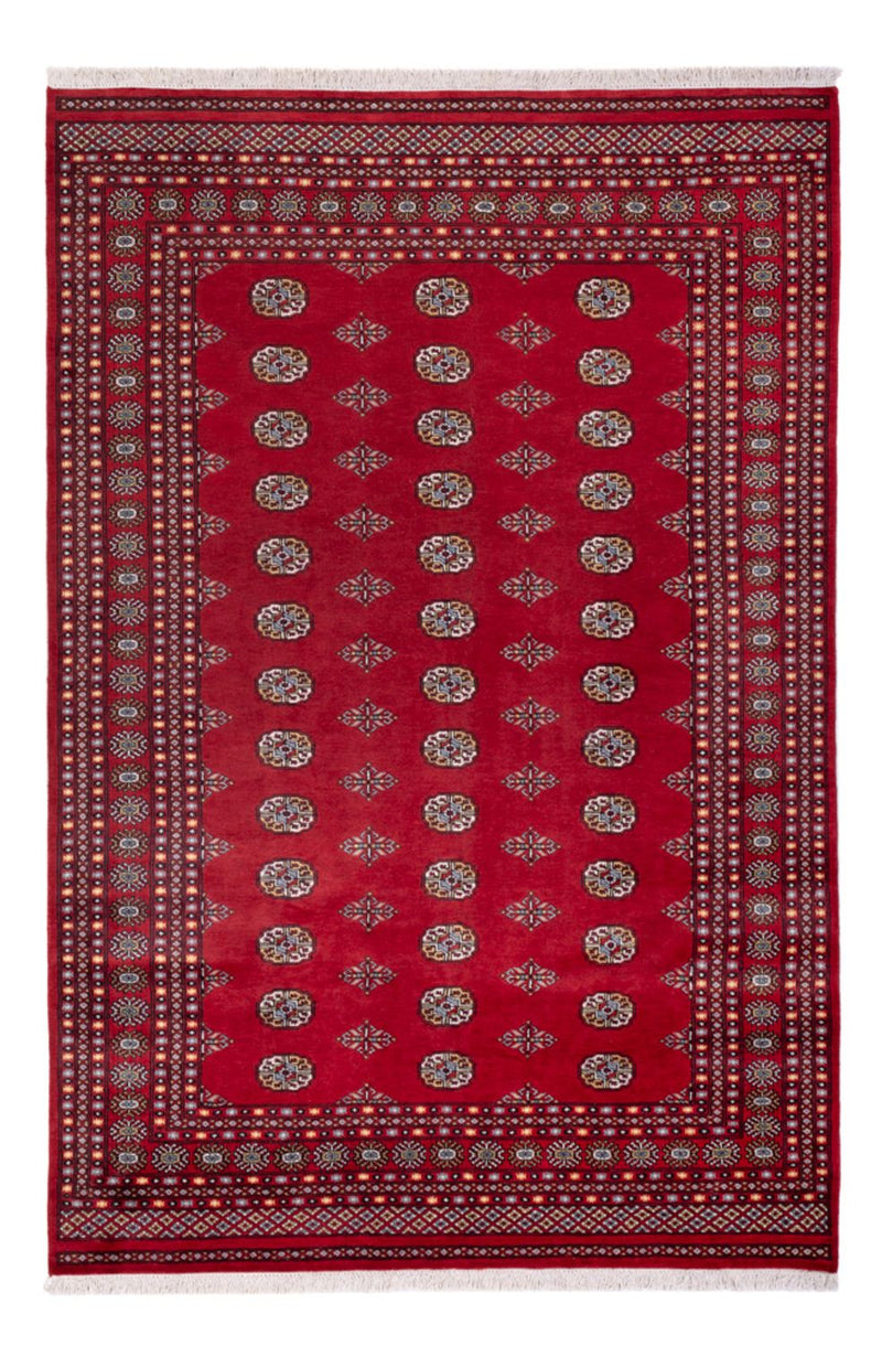 Afghansk tæppe - Bukhara - 294 x 198 cm - rød