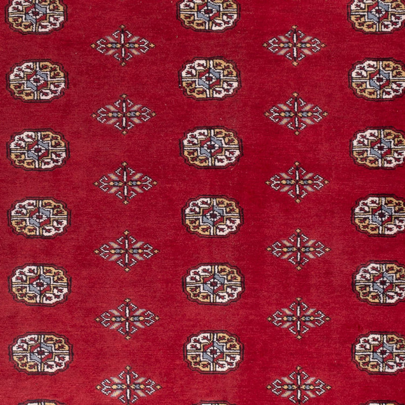 Afghansk tæppe - Bukhara - 294 x 198 cm - rød