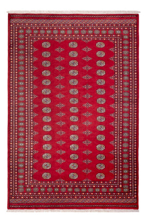 Afghansk tæppe - Bukhara - 304 x 206 cm - rød