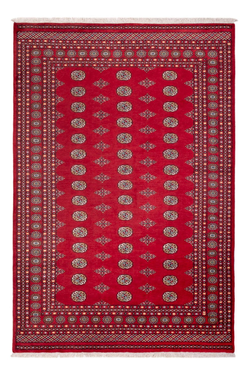 Afghansk tæppe - Bukhara - 304 x 206 cm - rød