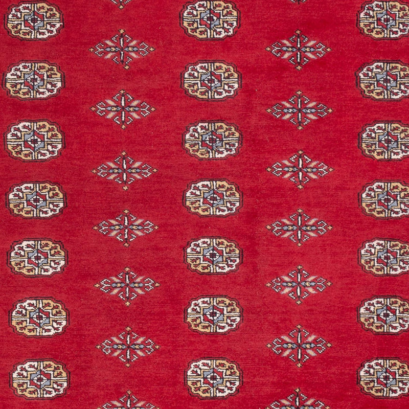 Afghansk tæppe - Bukhara - 304 x 206 cm - rød