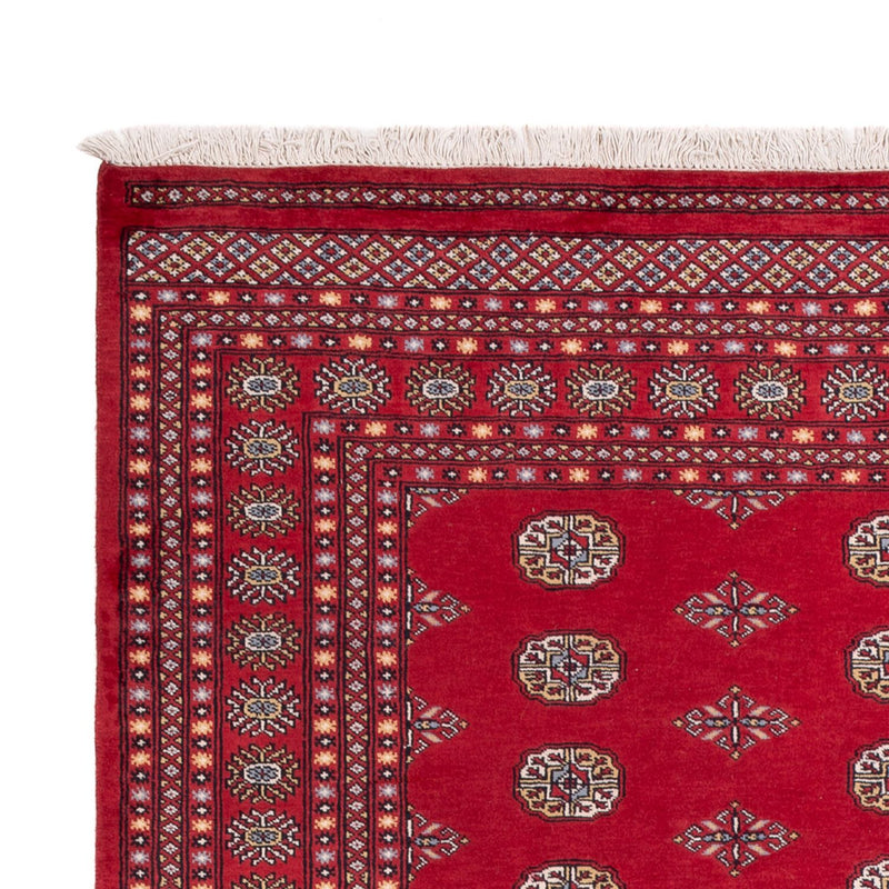 Afghansk tæppe - Bukhara - 304 x 206 cm - rød