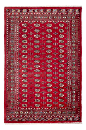 Afghansk tæppe - Bukhara - 313 x 207 cm - rød