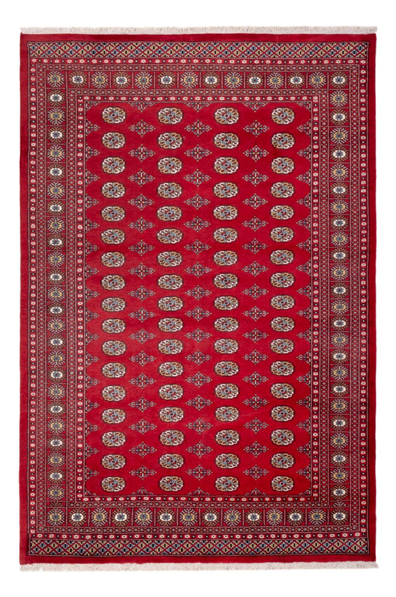 Afghansk tæppe - Bukhara - 313 x 207 cm - rød