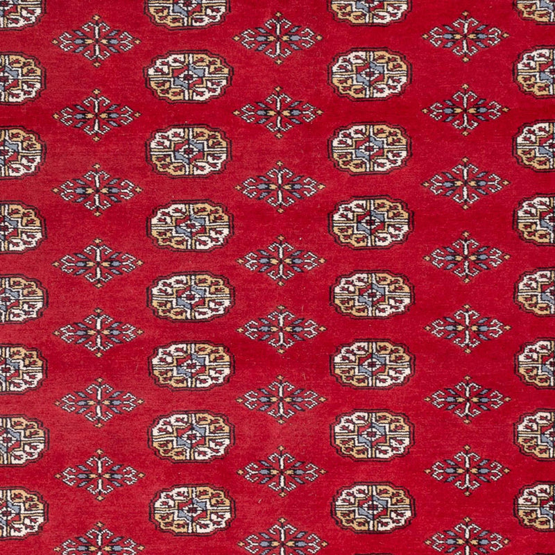 Afghansk tæppe - Bukhara - 313 x 207 cm - rød