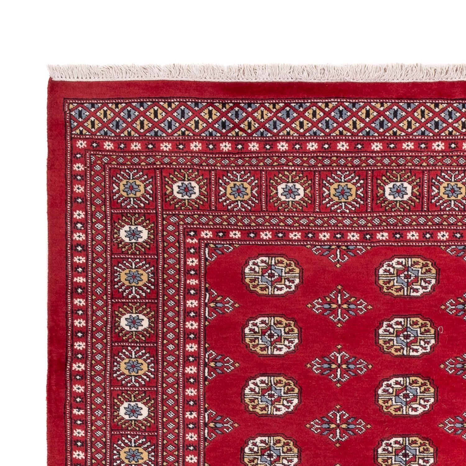 Afghansk tæppe - Bukhara - 313 x 207 cm - rød