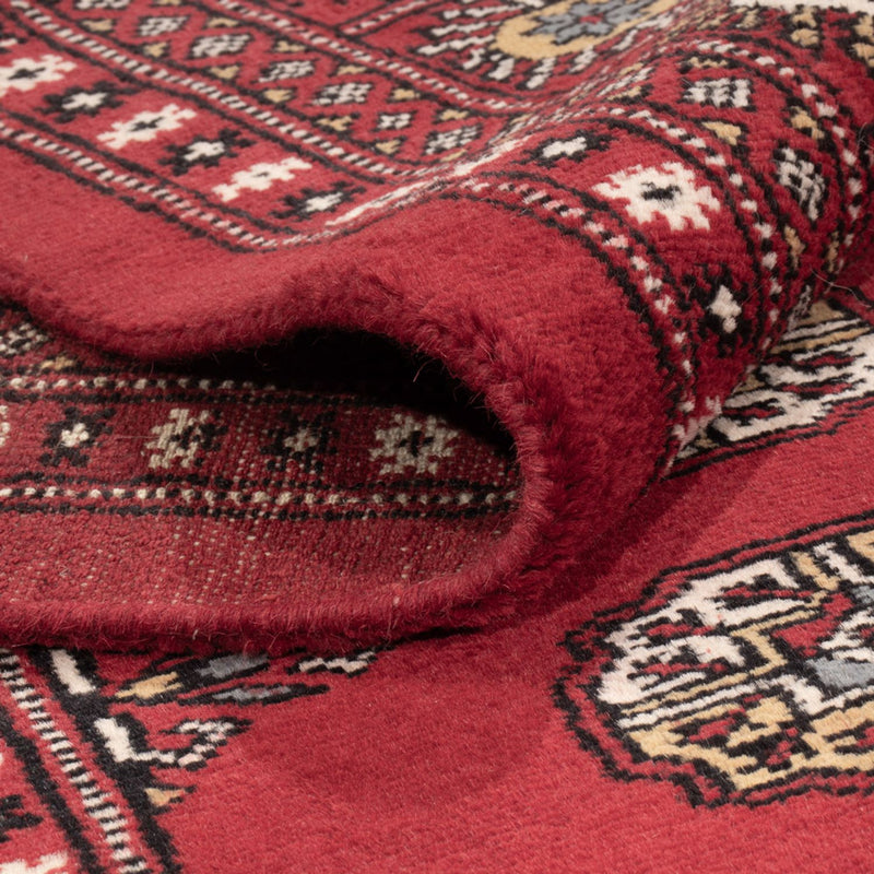 Afghansk tæppe - Bukhara - 313 x 207 cm - rød