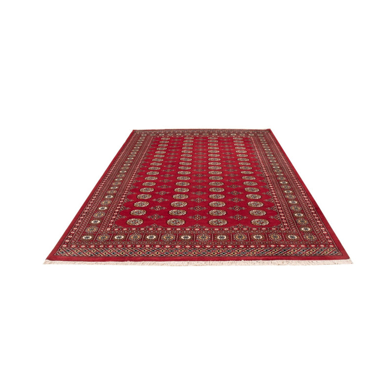 Afghansk tæppe - Bukhara - 313 x 207 cm - rød