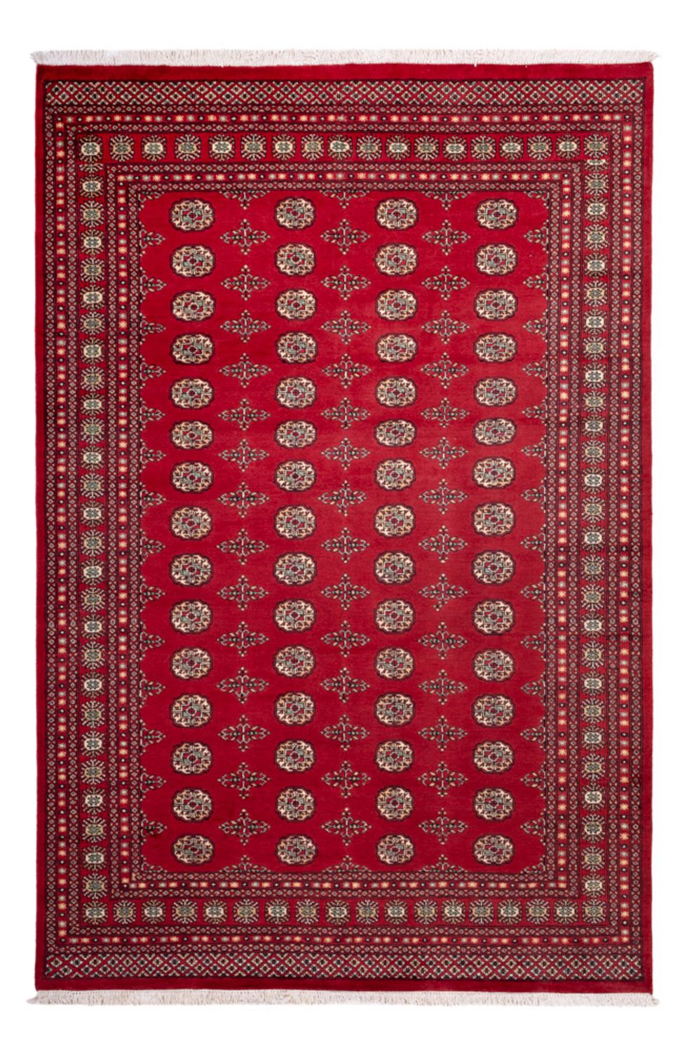 Afghansk tæppe - Bukhara - 318 x 210 cm - rød