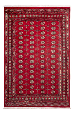 Afghansk tæppe - Bukhara - 318 x 210 cm - rød