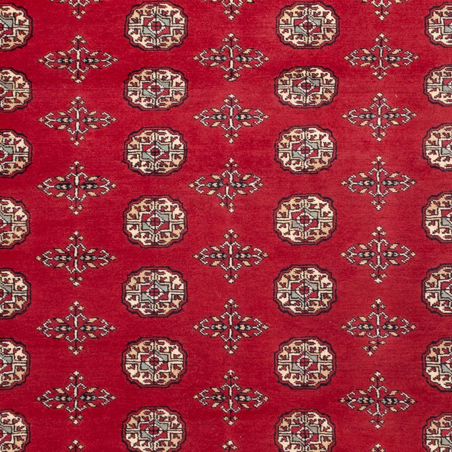 Afghansk tæppe - Bukhara - 318 x 210 cm - rød