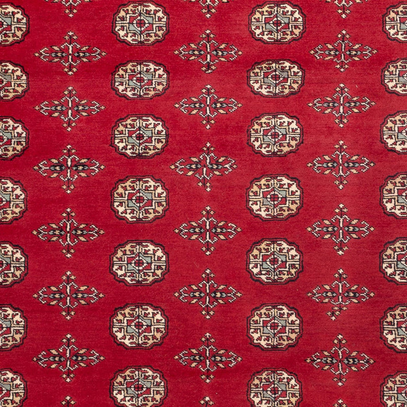 Afghansk tæppe - Bukhara - 318 x 210 cm - rød