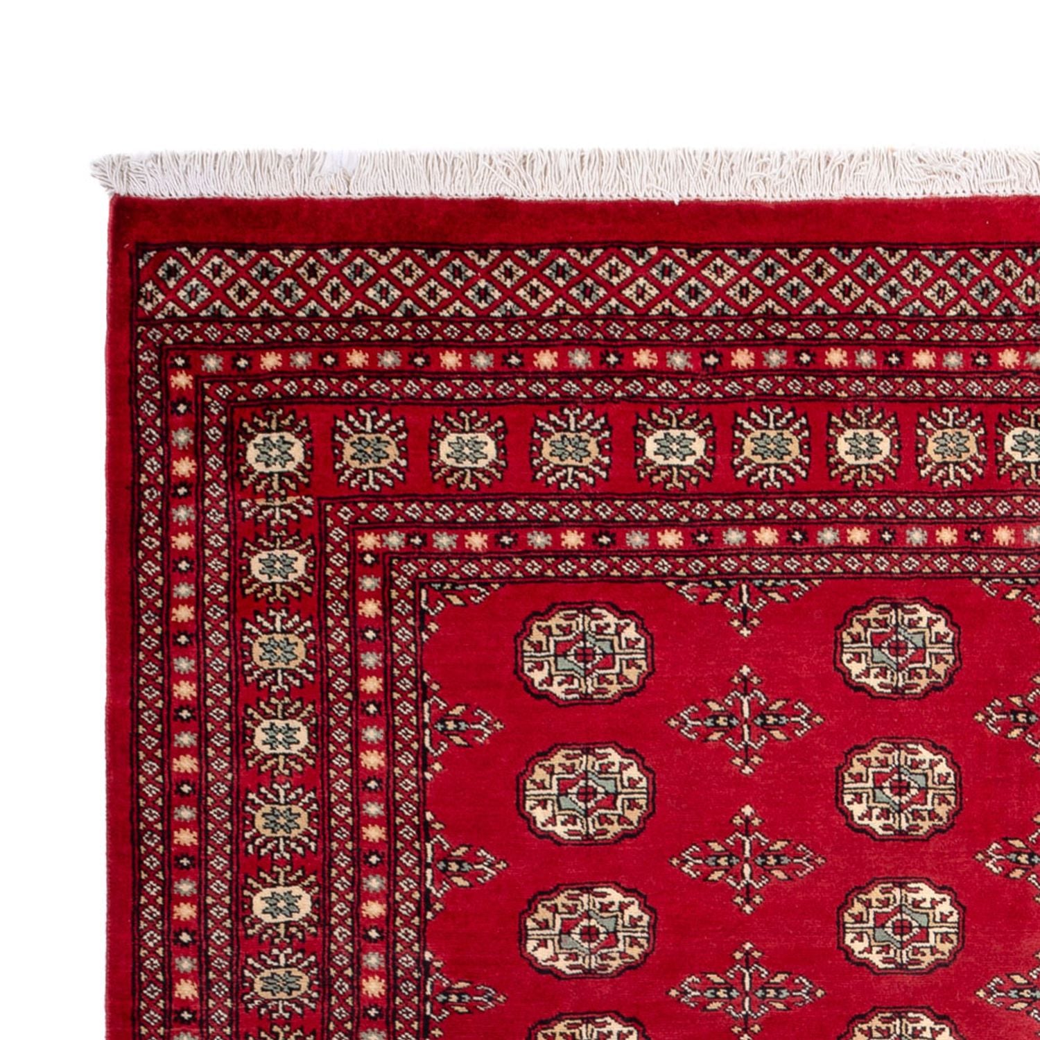 Afghansk tæppe - Bukhara - 318 x 210 cm - rød