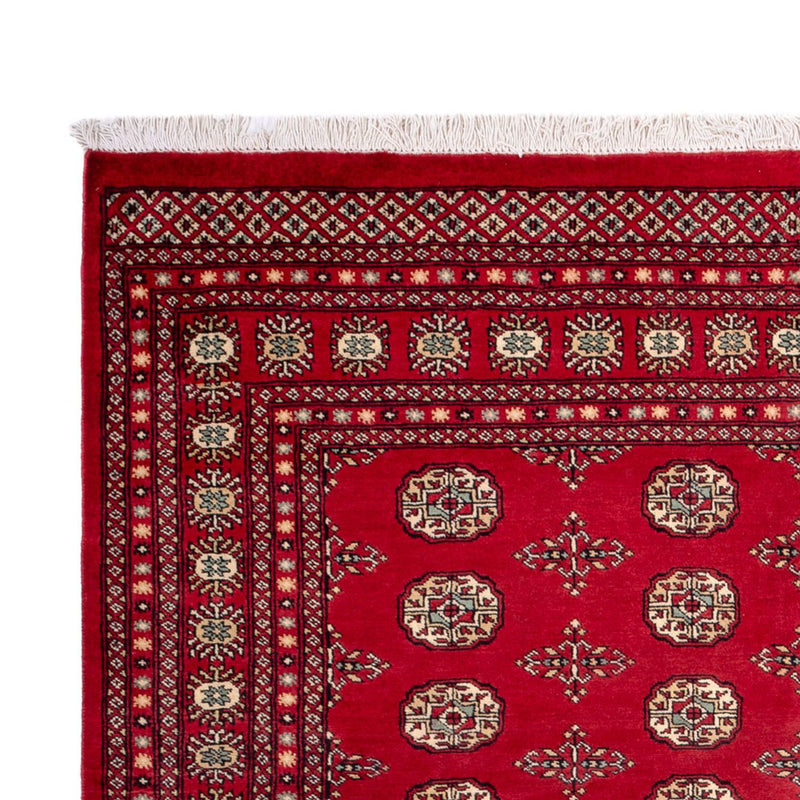Afghansk tæppe - Bukhara - 318 x 210 cm - rød