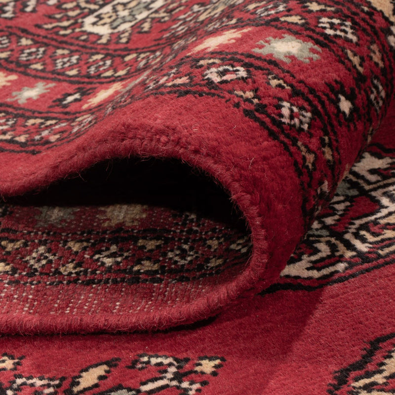 Afghansk tæppe - Bukhara - 318 x 210 cm - rød