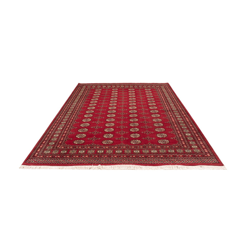Afghansk tæppe - Bukhara - 318 x 210 cm - rød