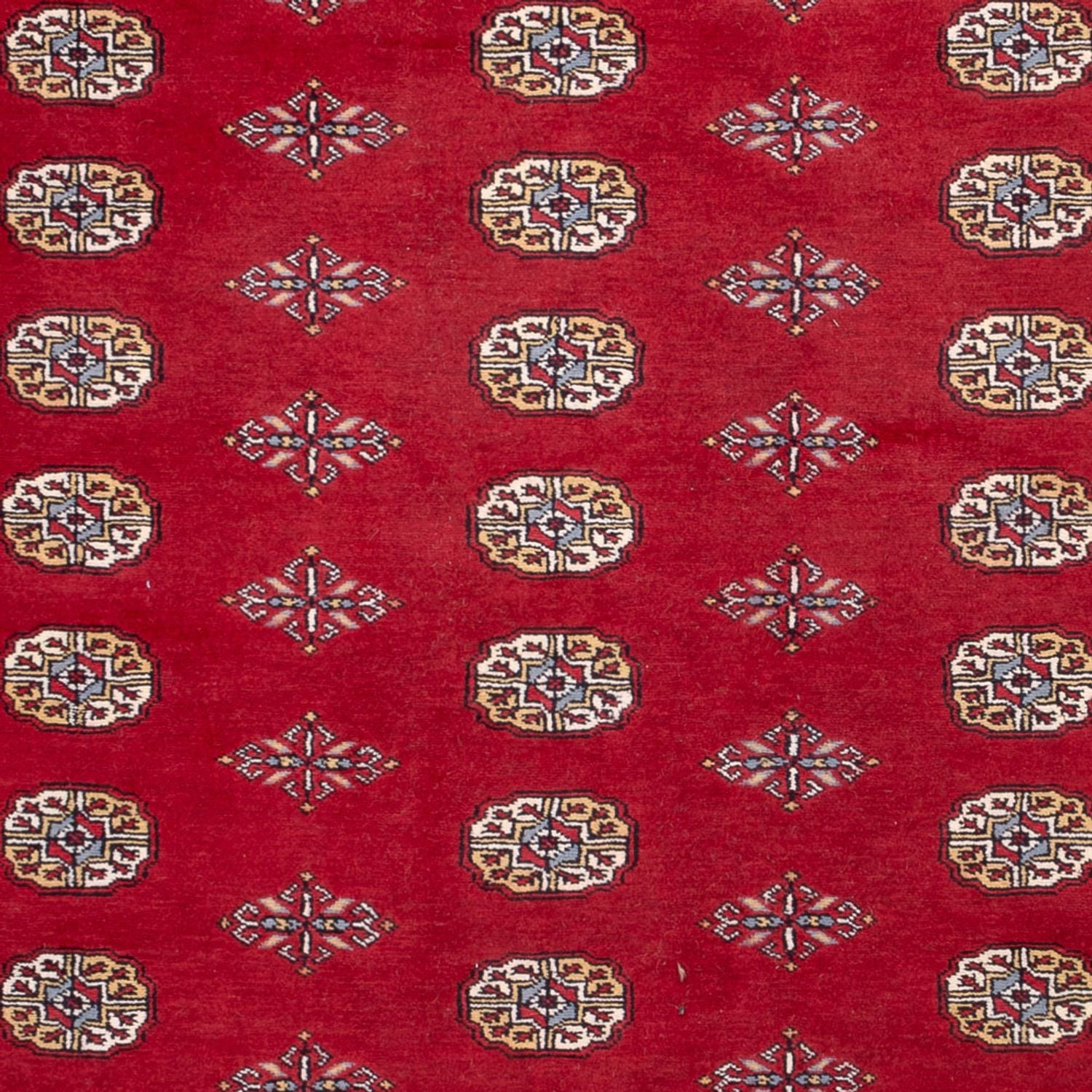 Afghansk tæppe - Bukhara - 308 x 207 cm - rød