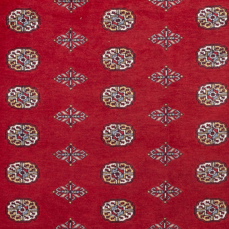 Afghansk tæppe - Bukhara - 314 x 202 cm - rød