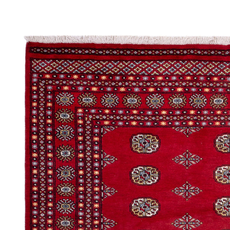 Afghansk tæppe - Bukhara - 314 x 202 cm - rød