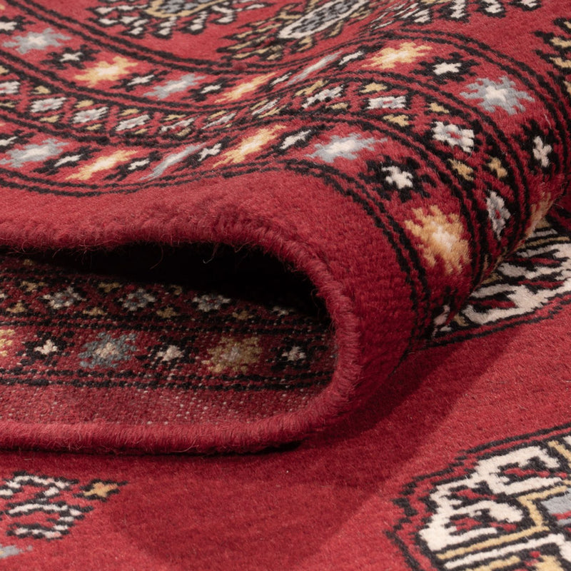Afghansk tæppe - Bukhara - 314 x 202 cm - rød