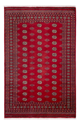 Afghansk tæppe - Bukhara - 306 x 202 cm - rød