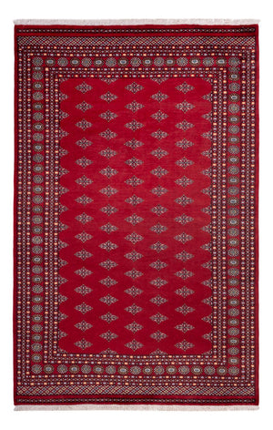 Afghansk tæppe - Bukhara - 317 x 204 cm - rød