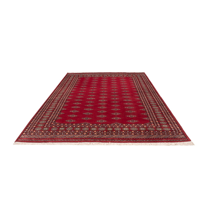 Afghansk tæppe - Bukhara - 317 x 204 cm - rød