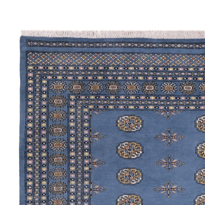 Afghansk tæppe - Bukhara - 315 x 207 cm - blå
