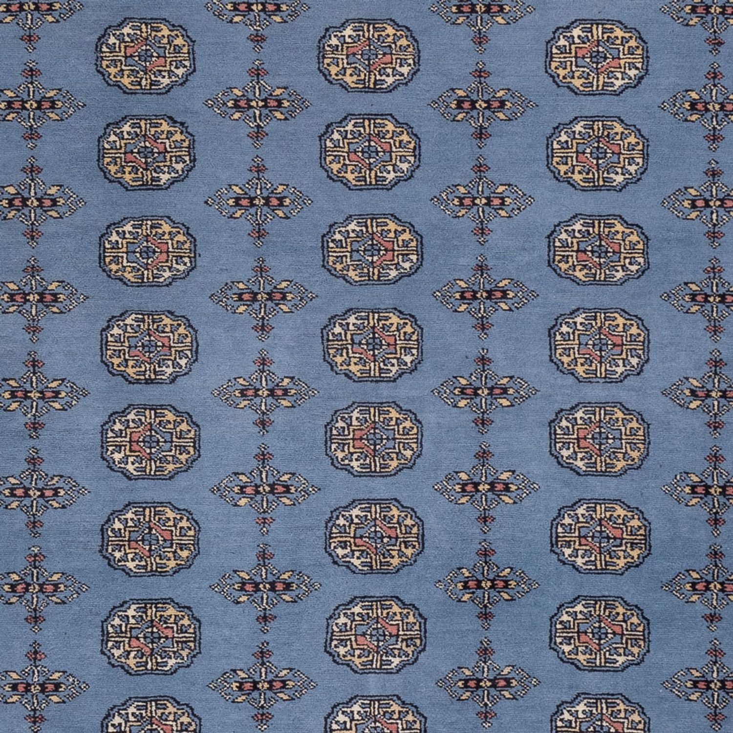 Afghansk tæppe - Bukhara - 307 x 250 cm - blå