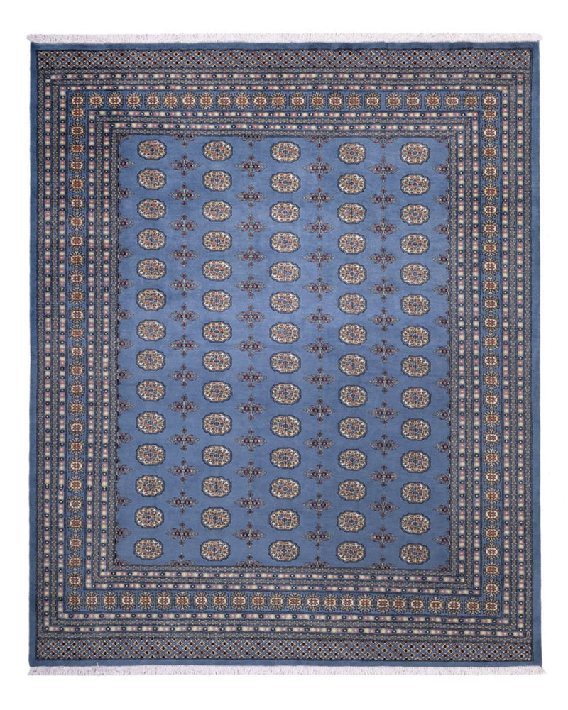 Afghansk tæppe - Bukhara - 305 x 249 cm - blå