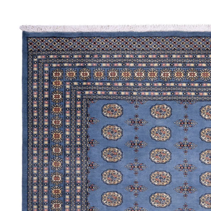 Afghansk tæppe - Bukhara - 305 x 249 cm - blå