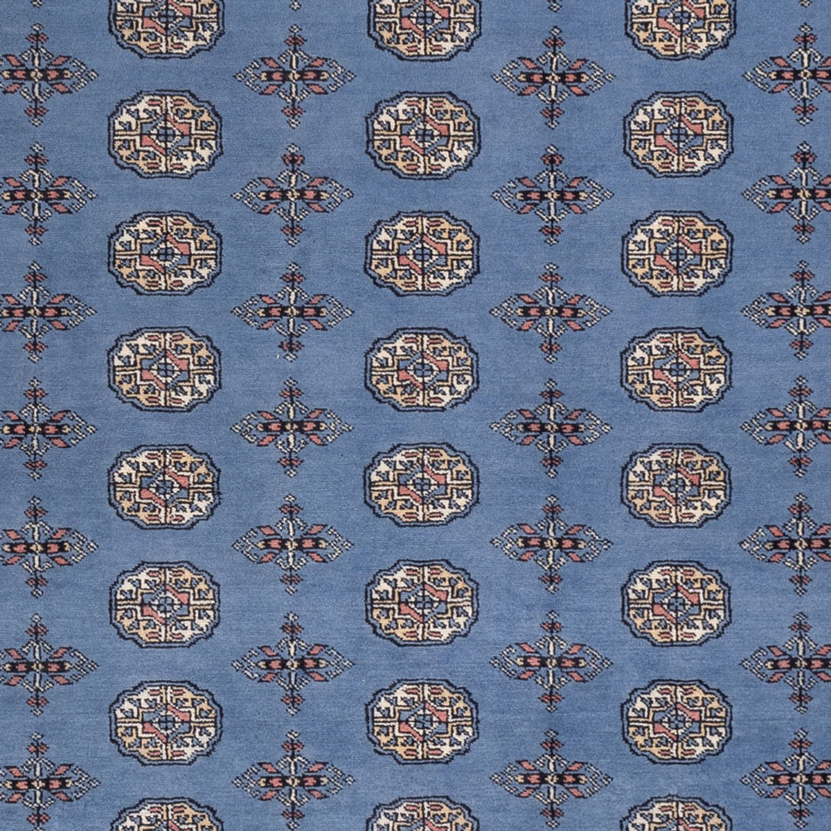 Afghansk tæppe - Bukhara - 297 x 250 cm - blå