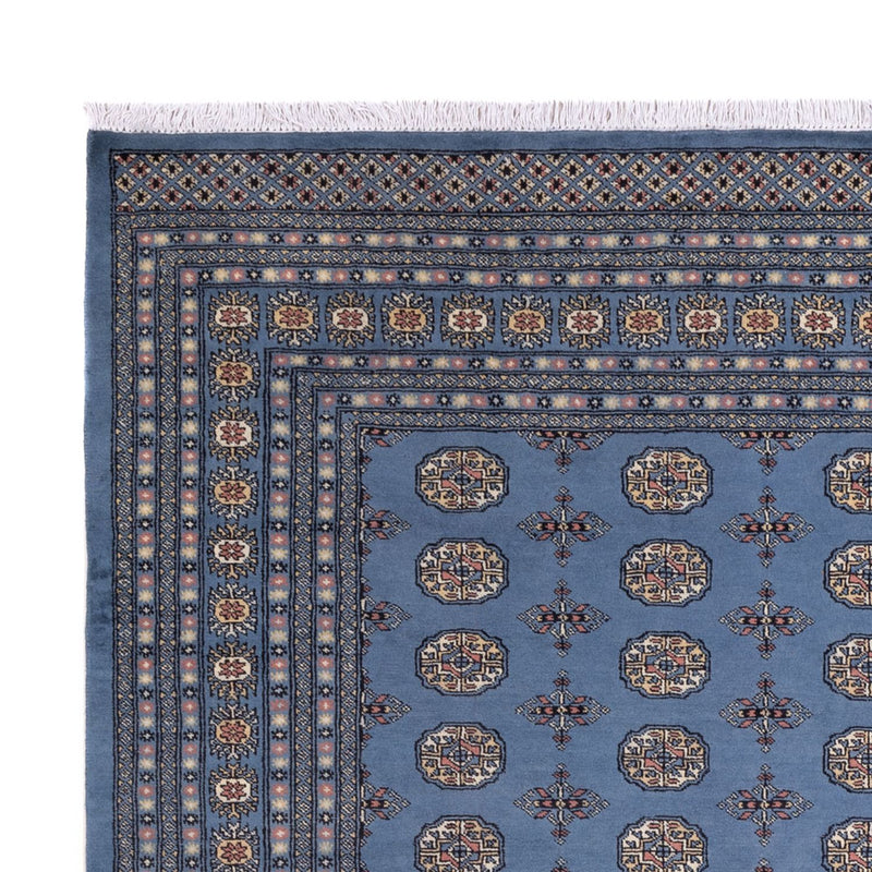 Afghansk tæppe - Bukhara - 297 x 250 cm - blå