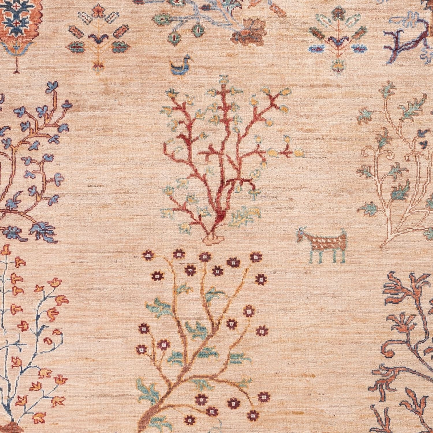 Ziegler Carpet - Ariana - 293 x 206 cm - lys beige