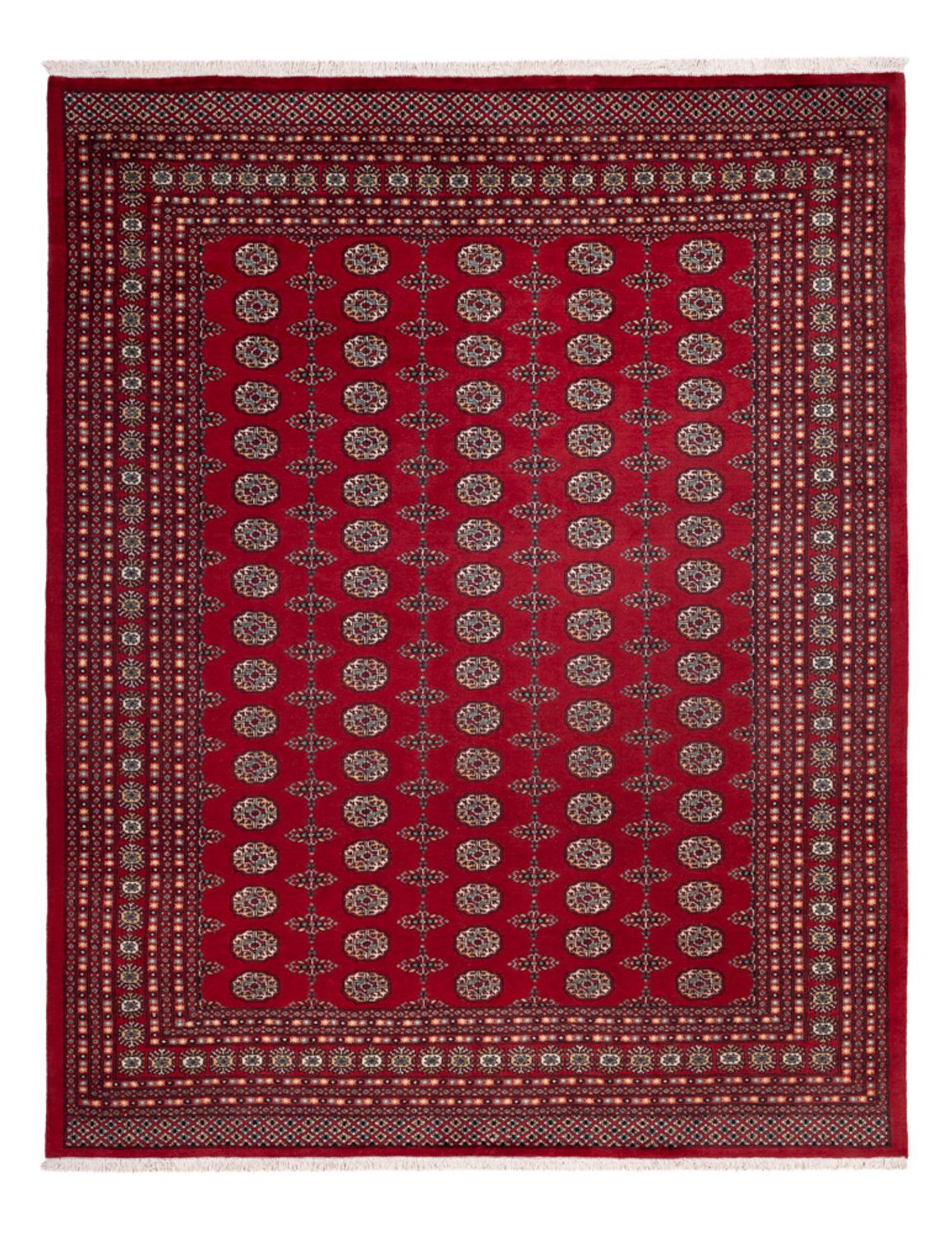 Afghansk tæppe - Bukhara - 309 x 246 cm - rød