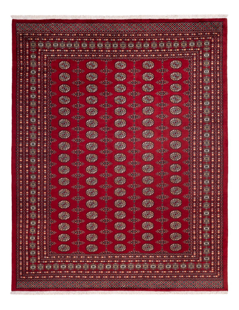 Afghansk tæppe - Bukhara - 309 x 246 cm - rød