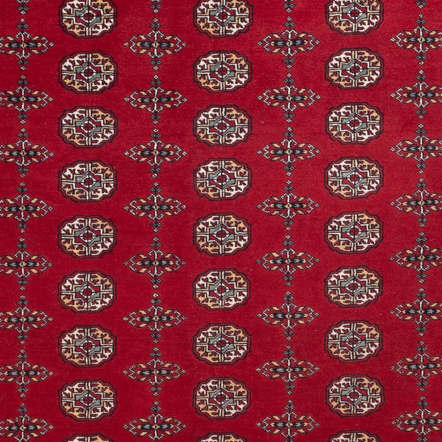 Afghansk tæppe - Bukhara - 309 x 246 cm - rød