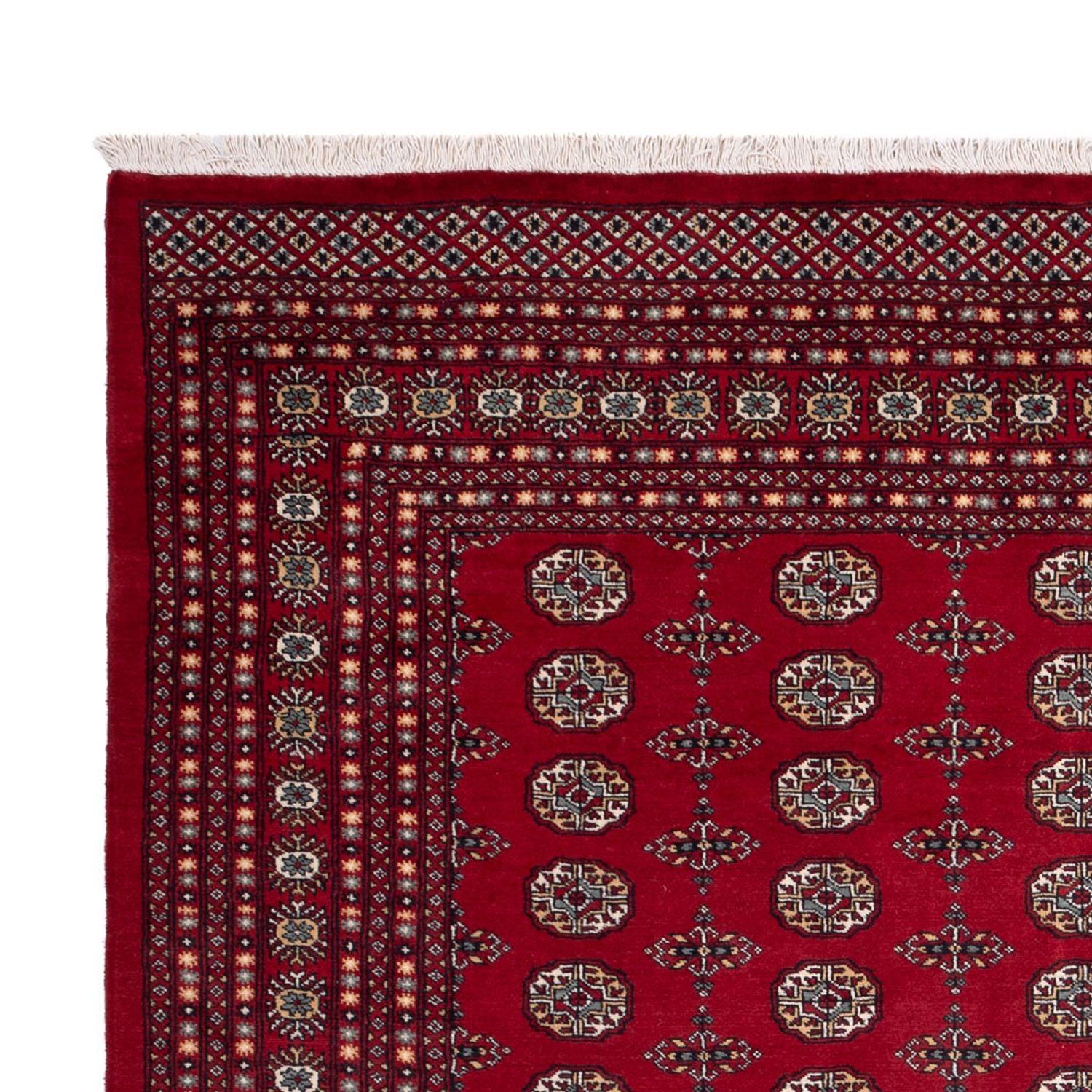 Afghansk tæppe - Bukhara - 309 x 246 cm - rød