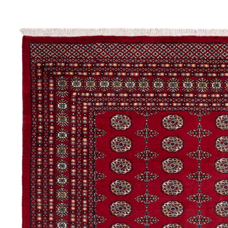 Afghansk tæppe - Bukhara - 309 x 246 cm - rød