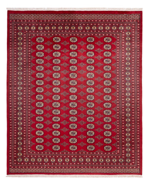 Afghansk tæppe - Bukhara - 305 x 244 cm - rød