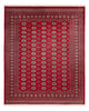 Bukhara Tæppe 305x244cm - Orientalsk tæppe